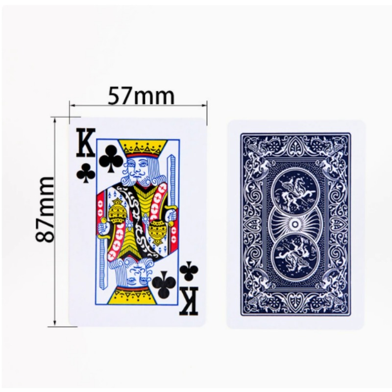 Premium Opaque Playing Cards S - Book Party Games recension och pris